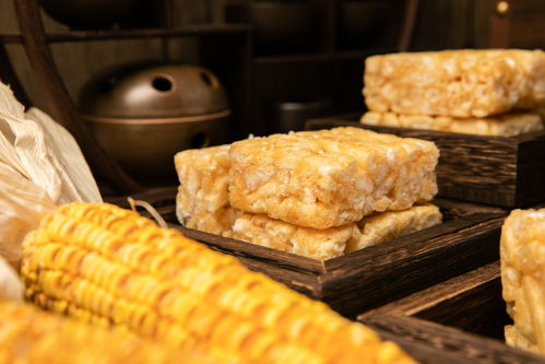 沙琪瑪?shù)奶墙z與謎影 一場(chǎng)關(guān)于無脊椎動(dòng)物的味覺奇思